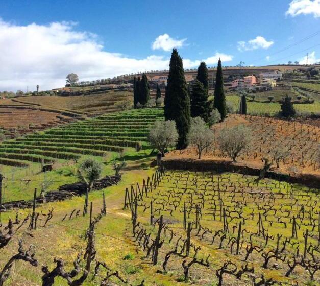 Номер Стандарт, Quinta Do Fôjo