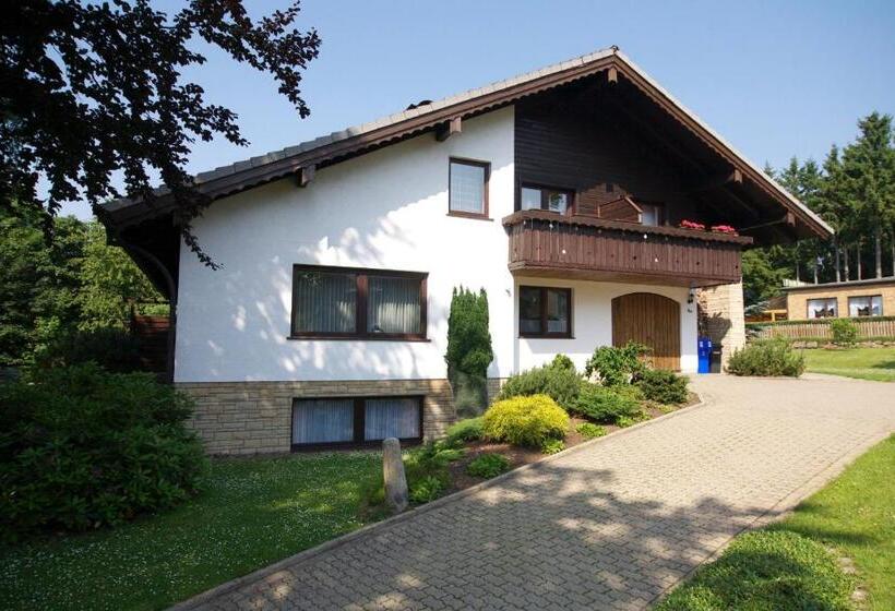 Номер Стандарт с Балконом, Haus Sieber