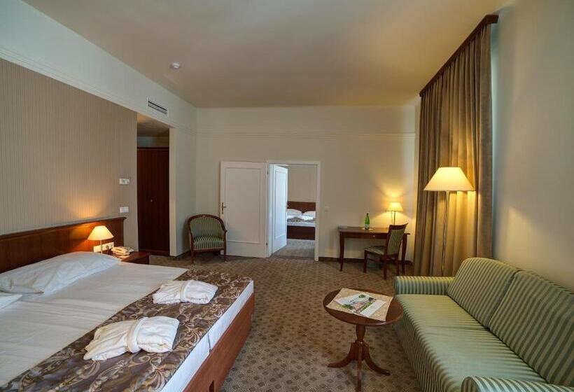 اتاق پریمیوم با چشم‌انداز باغ, Grand Hotel Rogaška