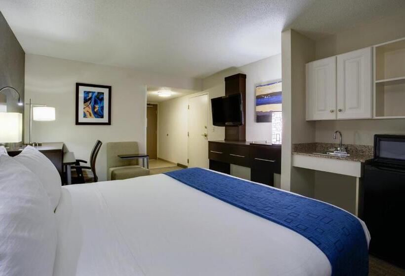 장애인을 위한 킹사이즈 침대 스탠다드 룸, Holiday Inn Express Hotel & Suites Meadowlands Area, An Ihg