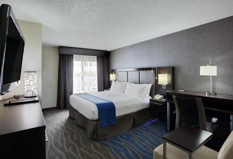 스탠다드 룸 킹사이즈 침대, Holiday Inn Express Hotel & Suites Meadowlands Area, An Ihg