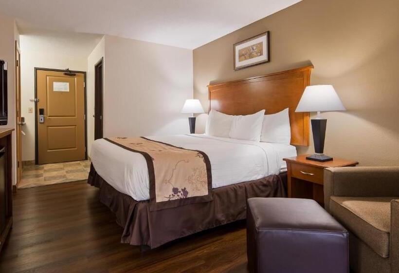 Стандартный Номер Кровать Кинг, Best Western Alexandria Inn