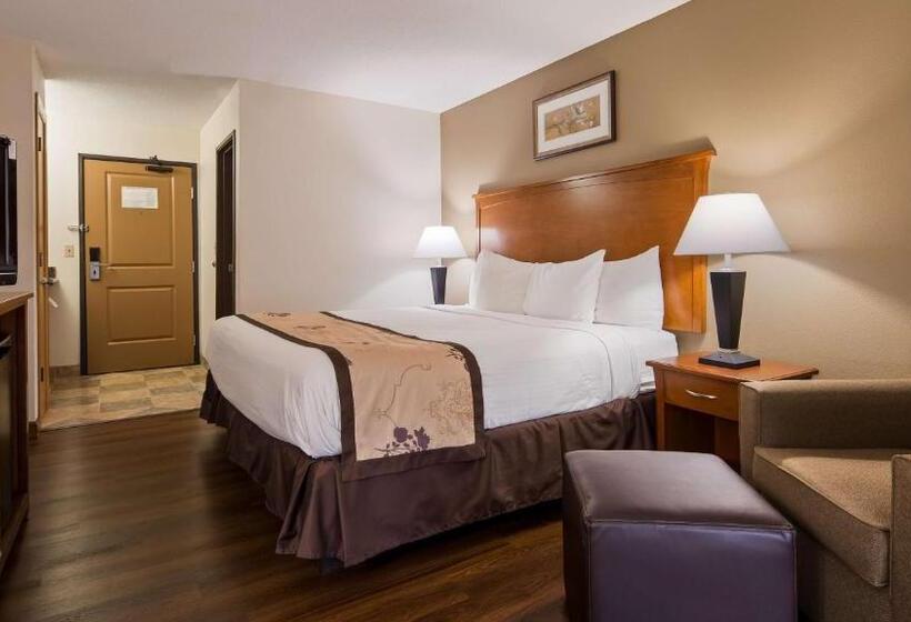 Номер Стандарт Адаптированный для Инвалидов, Best Western Alexandria Inn