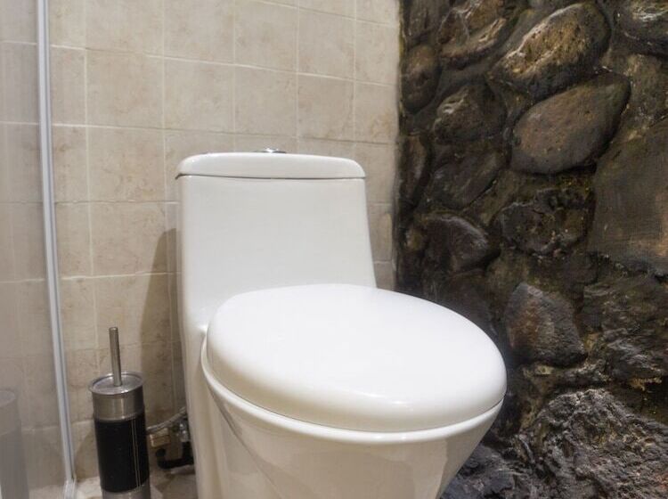 غرفة سوبيريور, Boutique Don Porfirio