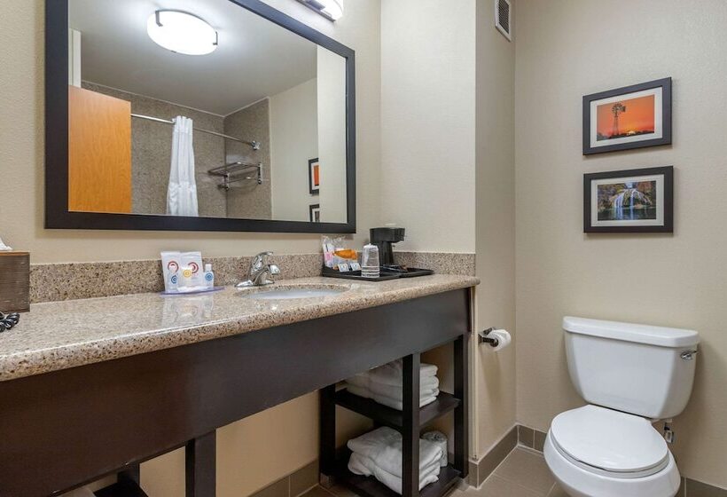 Люкс, Comfort Inn & Suites Glenpool
