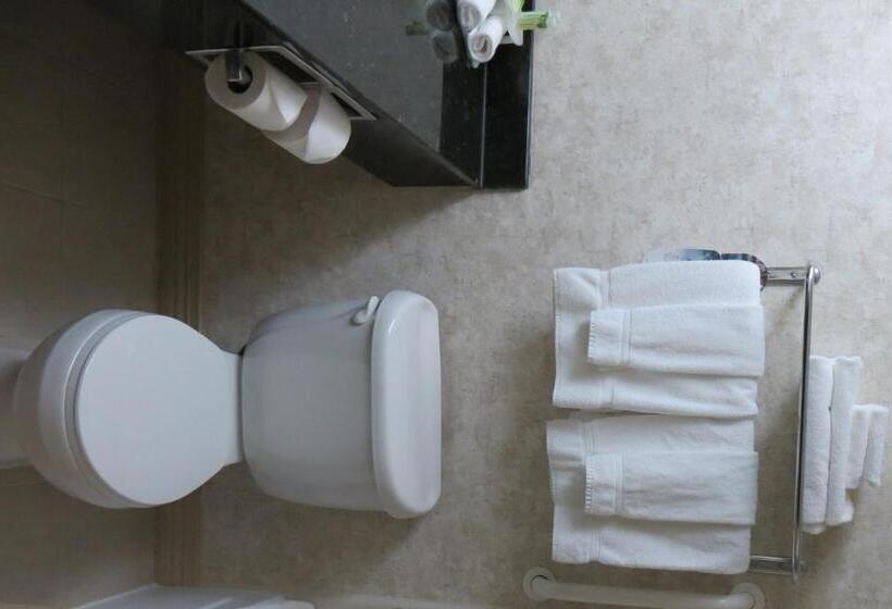 Номер Deluxe, Holiday Inn Express Hotel & Suites North Conway, An Ihg
