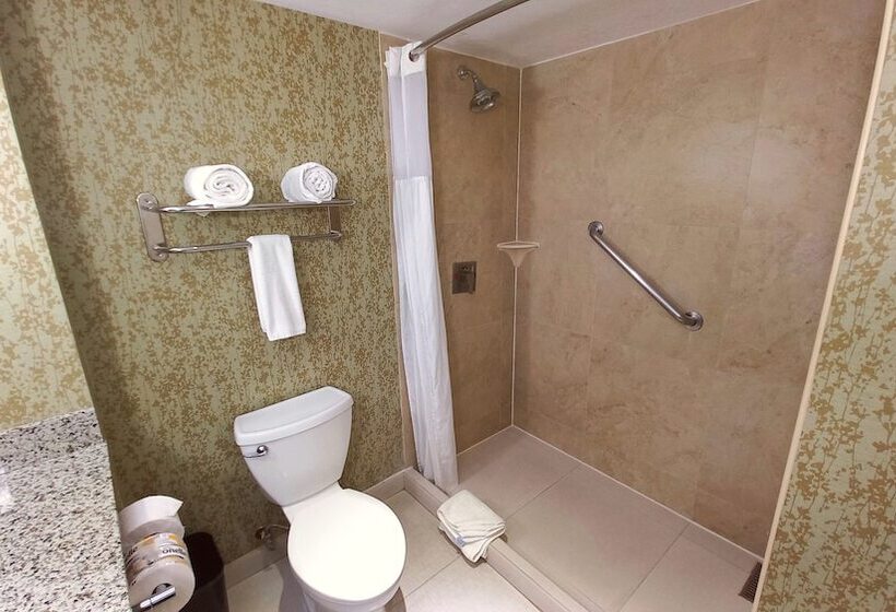 标准间, Holiday Inn Express & Suites Cuernavaca, An Ihg