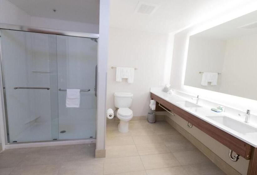 Люкс Кровать Кинг, Holiday Inn Express & Suites Lexington North West The Vineyard, An Ihg