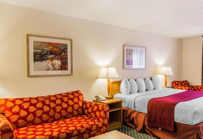 스탠다드 룸 킹사이즈 침대, Quality Inn & Suites Golden  Denver West