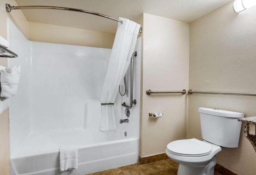 Quarto Estandar para Deficientes Físicos, Quality Inn & Suites Near Downtown Mesa