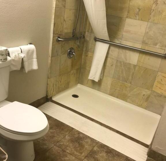 Quarto Estandar Cama King para Deficientes Físicos, Quality Inn & Suites Near Downtown Mesa