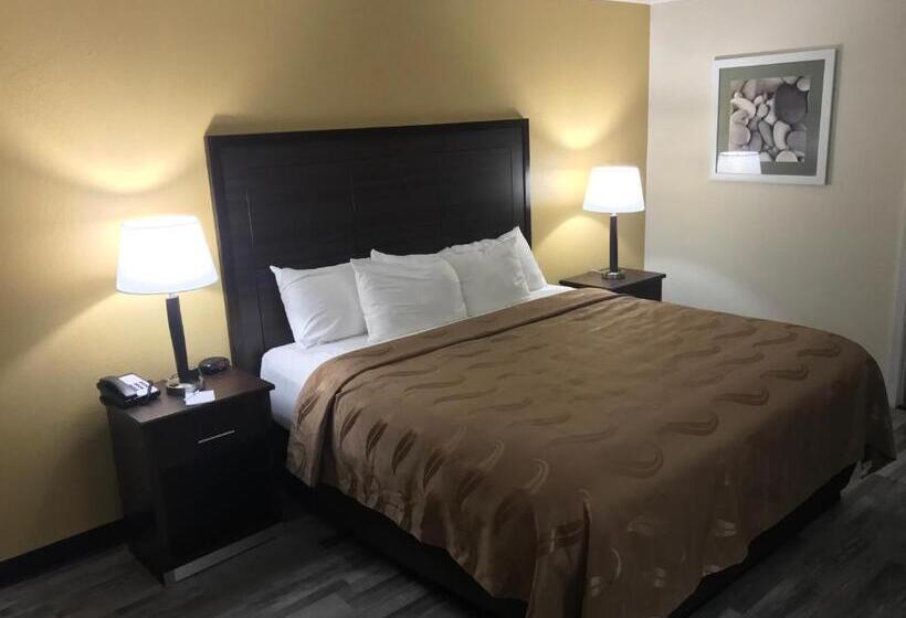 Quarto Estandar Cama King para Deficientes Físicos, Quality Inn & Suites Near Downtown Mesa