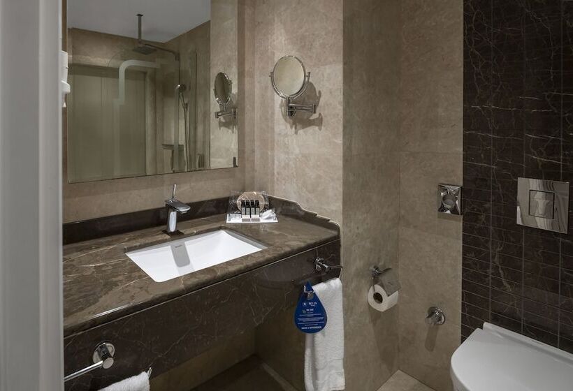 Deluxe Room, Rotta Hotel Istanbul