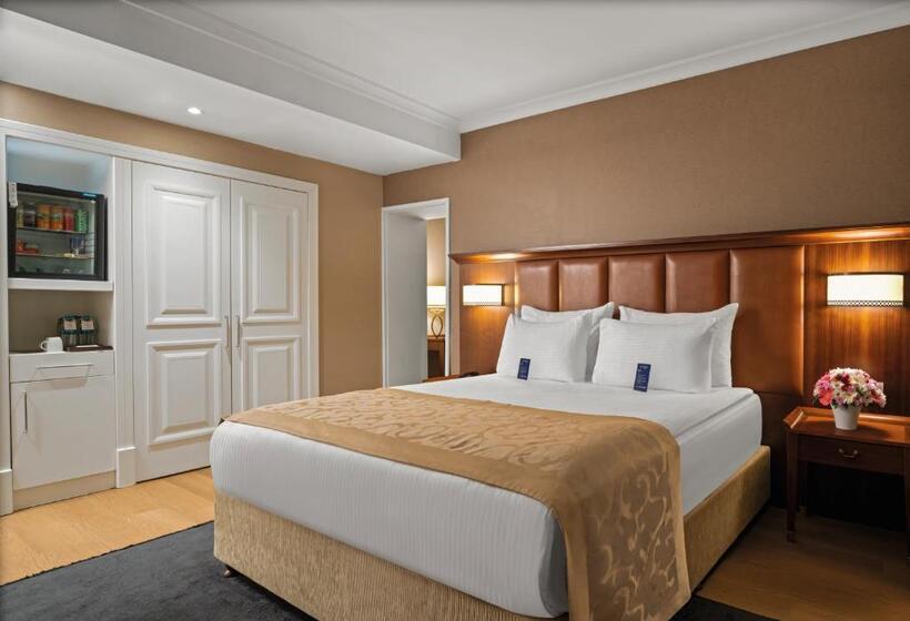Executive Suite, Rotta Hotel Istanbul