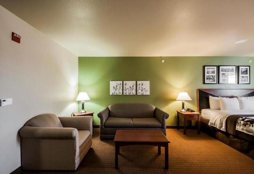 Люкс Кровать Кинг, Sleep Inn & Suites