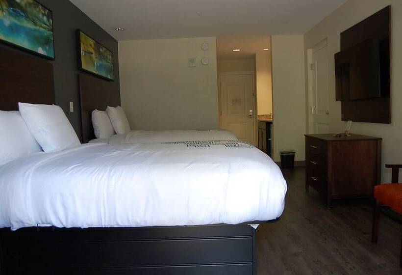 小型套房, Vacation Lodge
