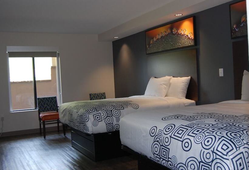 豪华房间, Vacation Lodge