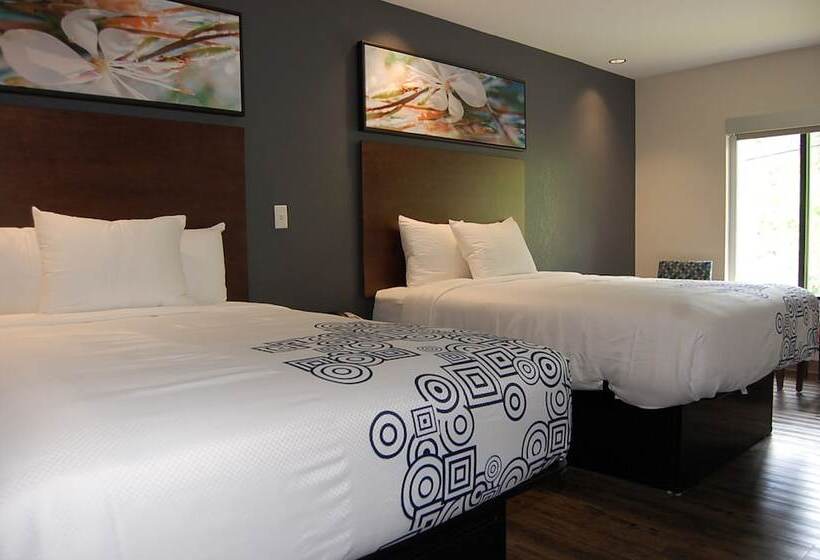 豪华房间, Vacation Lodge