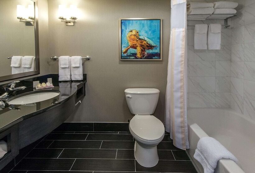 اتاق استاندارد با 2 تخت دوبل, Hilton Garden Inn Charleston Waterfront/downtown