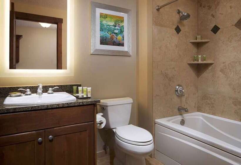 Студия Премиум, Hilton Grand Vacations Club Sunrise Lodge Park City
