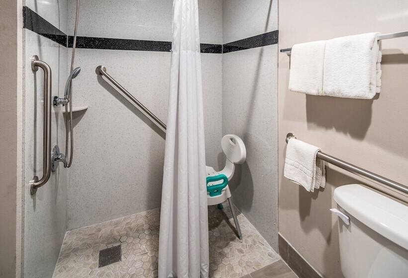 quarto Deluxe Adaptado para Deficientes Físicos, Red Roof Inn St George Ut  Convention Center