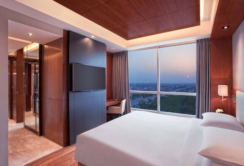 Люкс, Hyatt Regency Amritsar