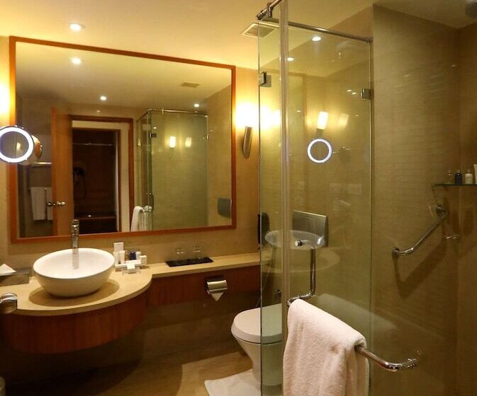 Номер Deluxe, Radisson Blu Hotel Chennai City Centre