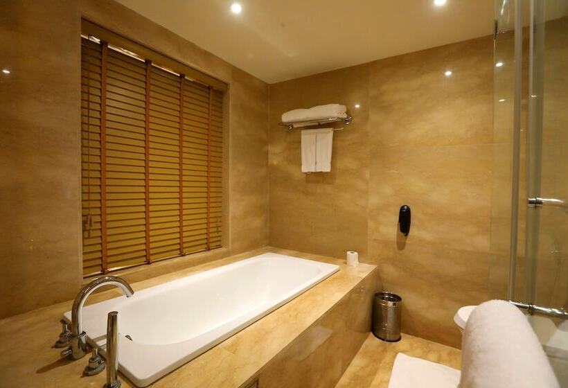 Люкс, Radisson Blu Hotel Chennai City Centre