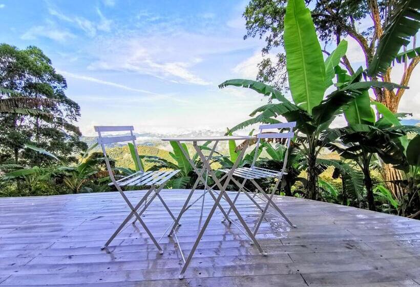 스위트, Bajo El Cielo Glamping San Francisco