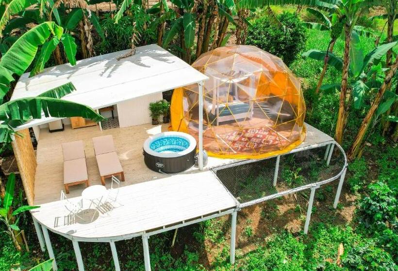 Номер Deluxe, Bajo El Cielo Glamping San Francisco