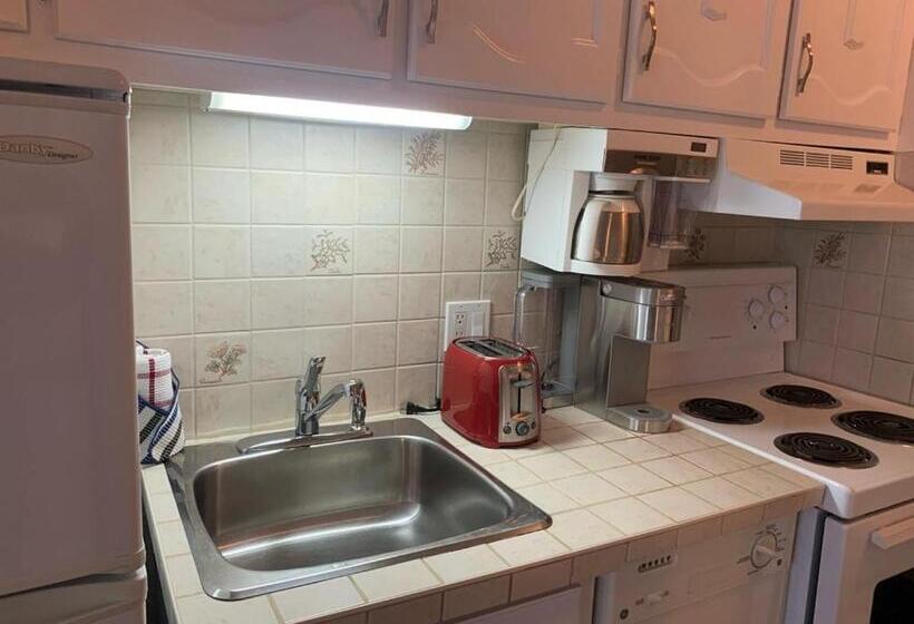 バルコニー付きスタンダードステューディオ, Magog Waterfront Condo