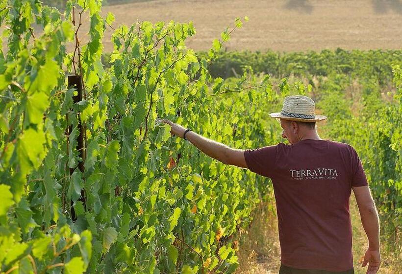 Апартаменты 1 Спальня с Террасой, Terravita Winery & Boutique Apartments