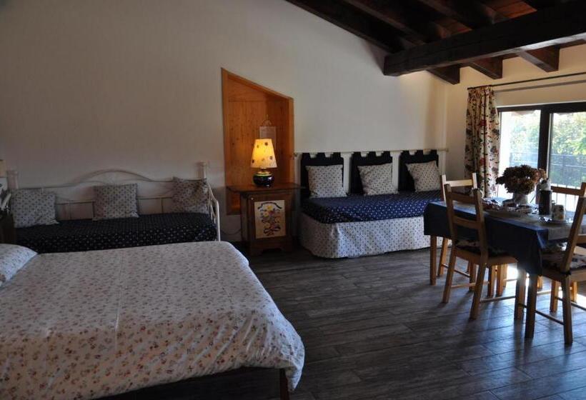 اتاق استاندارد برای معلولان, Villa Ai Tigli Venezia Guest House
