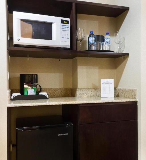 اتاق استاندارد با تخت بزرگ, Best Western Premier Monterrey Aeropuerto