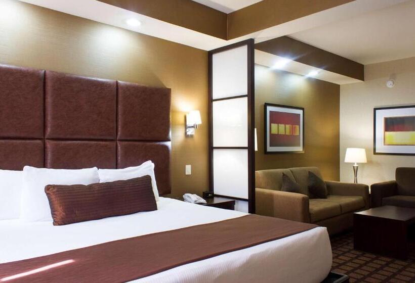 اتاق استاندارد با تخت بزرگ, Best Western Premier Monterrey Aeropuerto