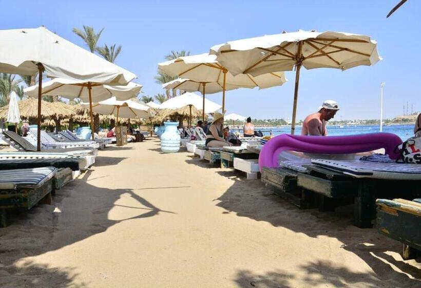اتاق استاندارد چهار تخته, Kanabesh Village