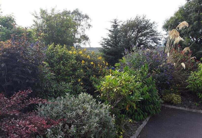 Номер Deluxe, Ard Na Greine Bed & Breakfast Ballylickey
