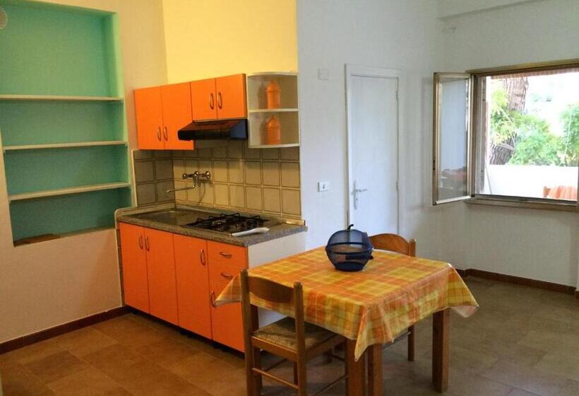 Apartamento 2 Dormitórios, Villa Irene