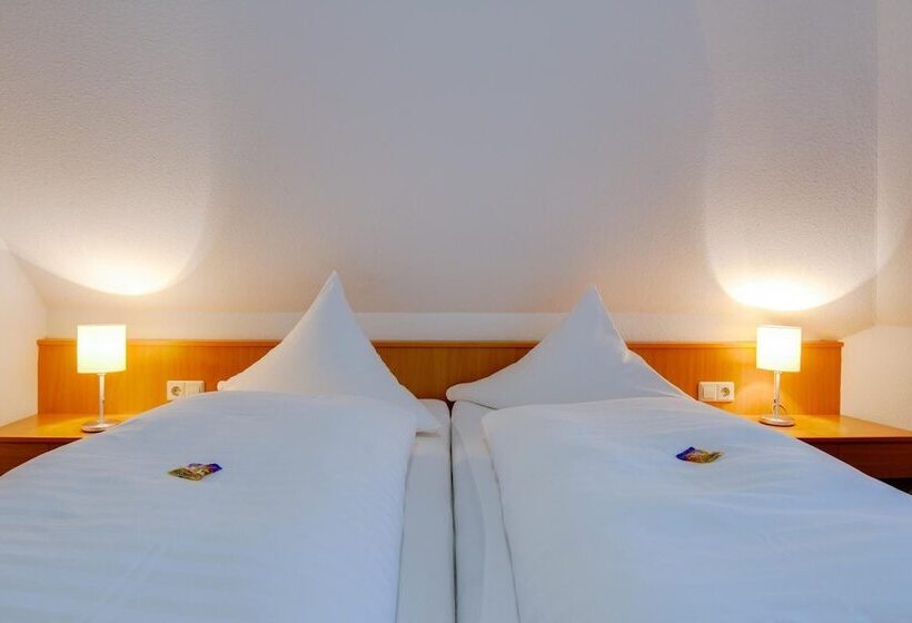 غرفة قياسية, Central Hotel Friedrichshafen