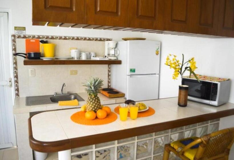 إستوديو قياسي مطل على المدينة, Arrecifes Suites