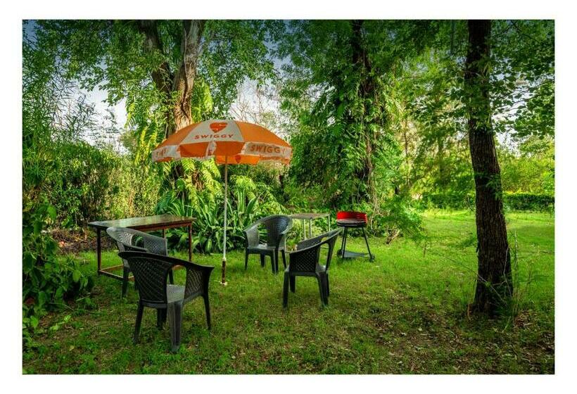 带大床的标准间, Tranquility Homestay