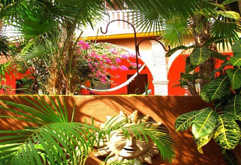 ベーシックルーム, Posada Paloma
