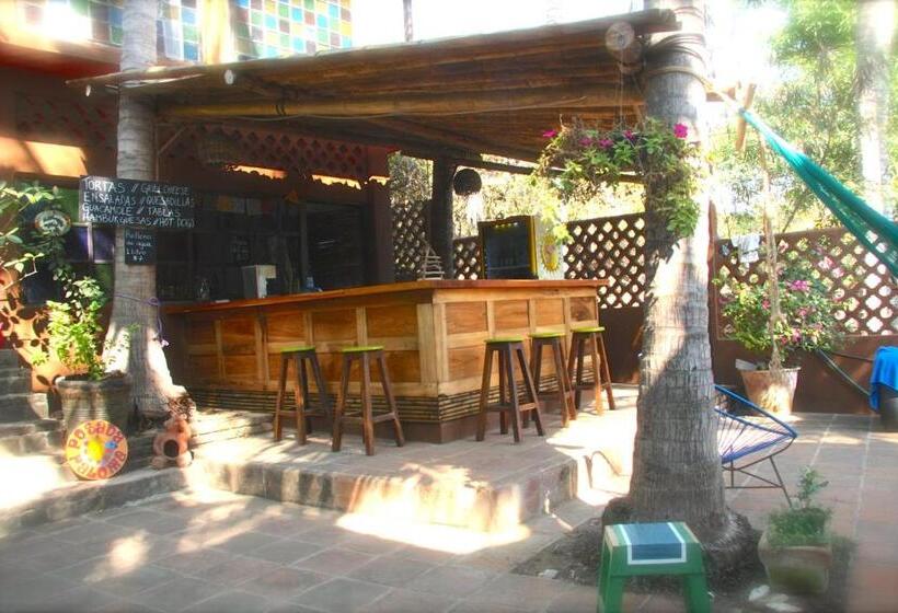 ベーシックルーム, Posada Paloma