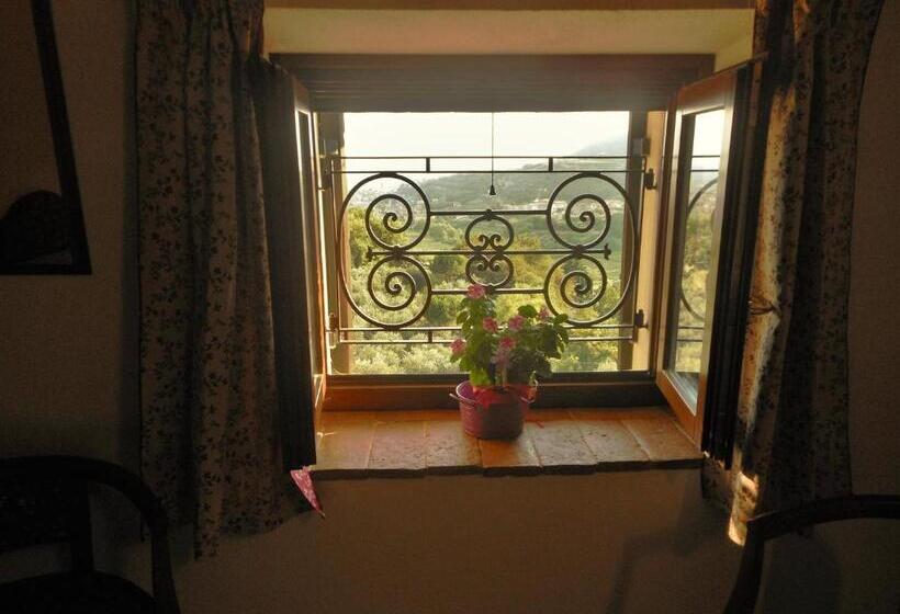 이코노미 룸, B&b Paradiso