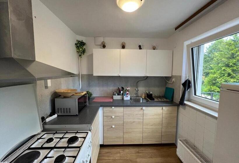 اتاق خانوادگی با سرویس بهداشتی مشترک, Emona Guesthouse Ljubljana