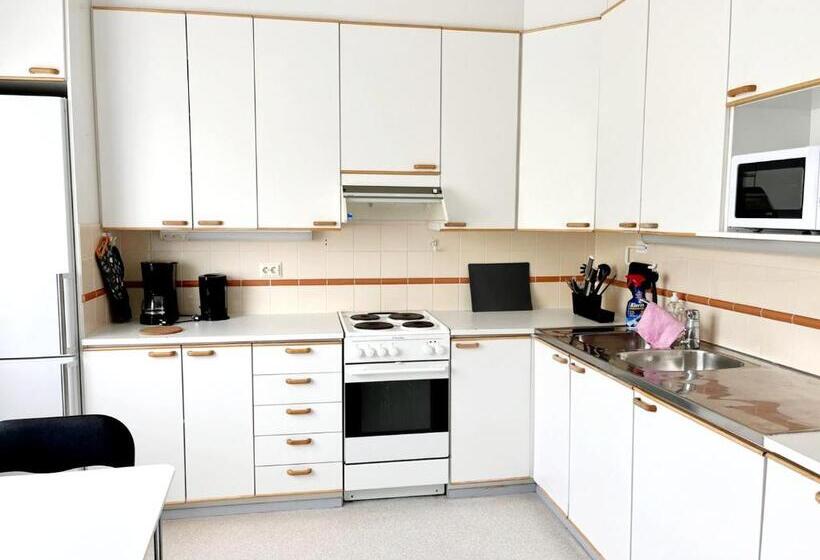 Апартаменты 1 Спальня с Балконом, Center Hostel Kaatrahovi