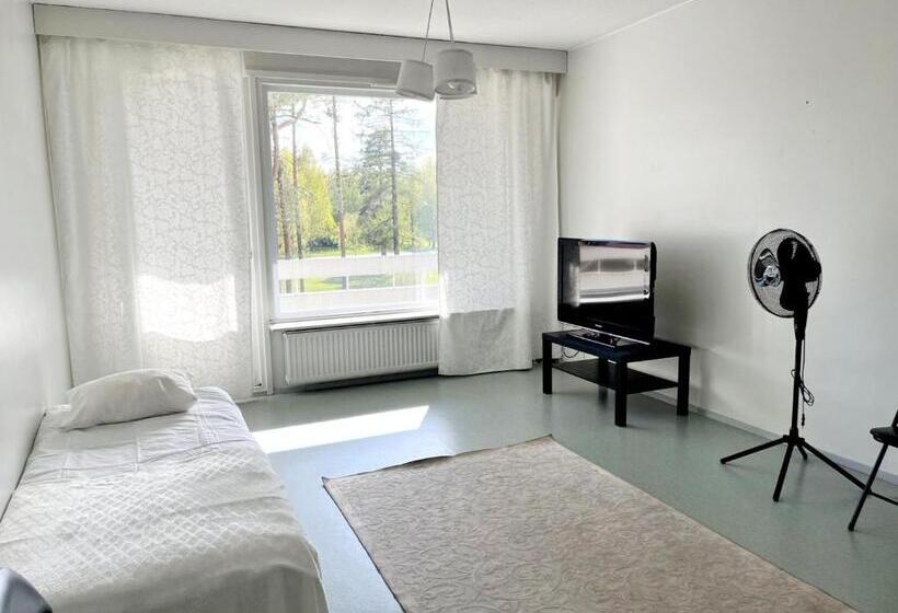 Апартаменты 1 Спальня с Балконом, Center Hostel Kaatrahovi