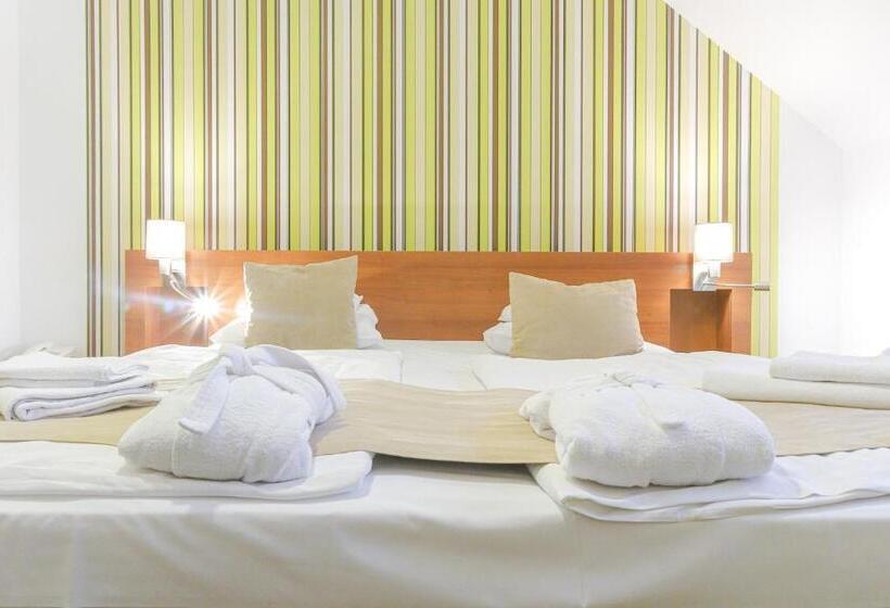 Номер Economy, Zenit Wellness Hotel Balaton
