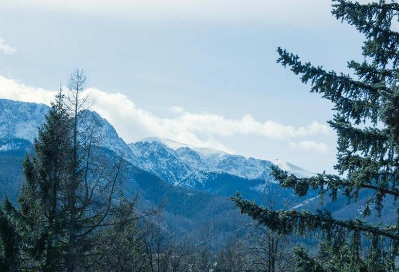 Апартаменты Deluxe 1 Спальня, Aparthotel Delta Zakopane - Delta Garden