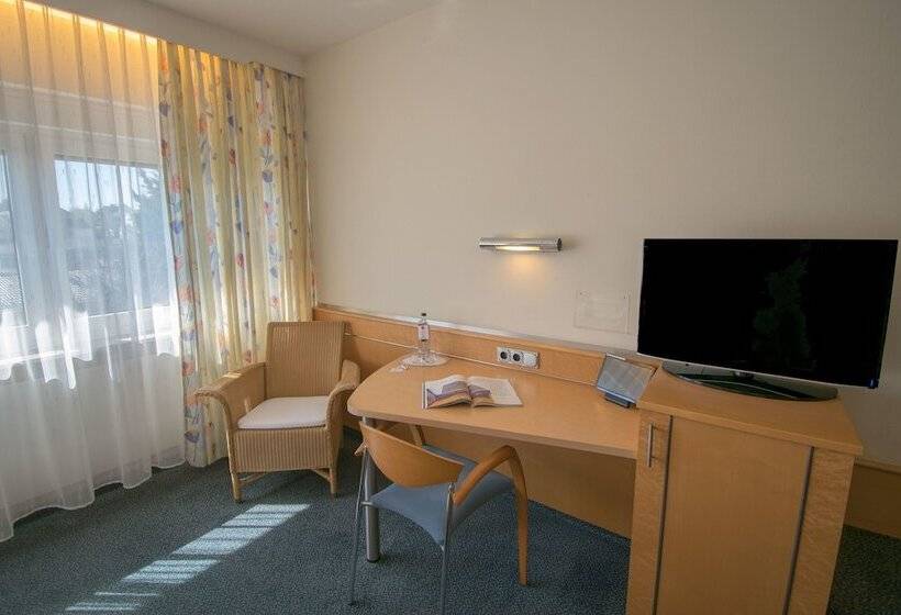 クラシックルーム, Art Hotel Braun